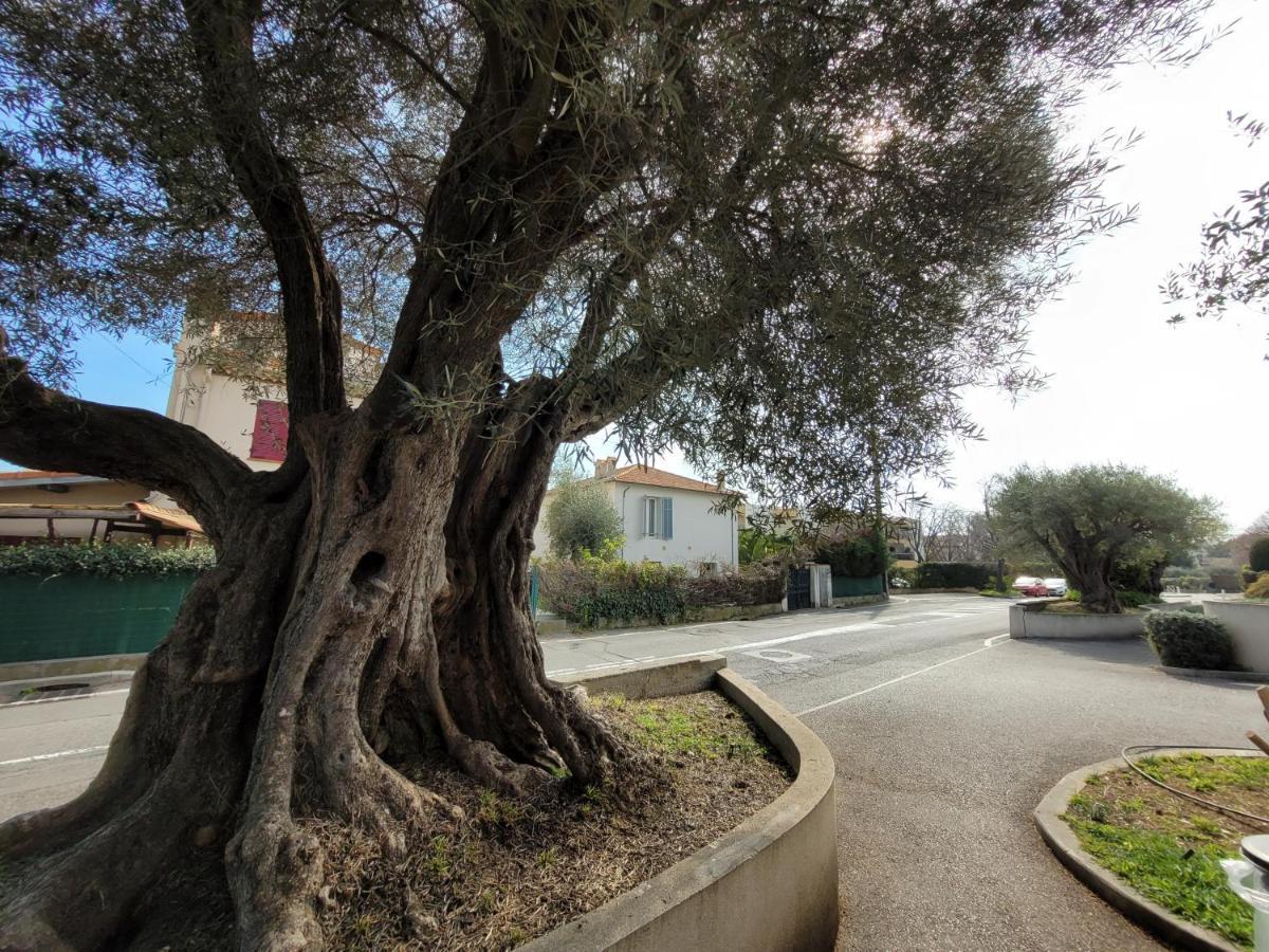 Villa La Desiree - Haut De Villa, 68M2, 8 Personnes Max, Climatise, 4 Etoiles, 120M2 De Jardin Et Parking, Wifi, Vu Mer Antibes Luaran gambar